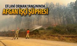 EFLANİ ORMAN YANGININDA AFGAN İŞÇİ ŞÜPHESİ
