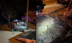 BOLU'DA ALKOLLÜ SÜRÜCÜ AĞACA ÇARPTI