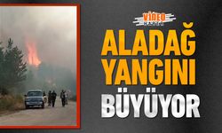 ALADAĞ MEVKİİ'NDE ÇIKAN YANGIN BÜYÜMEYE DEVAM EDİYOR
