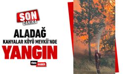 ALADAĞ KAHYALAR KÖYÜ MEVKİİ'NDE YANGIN ÇIKTI