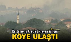 KASTAMONU ARAÇ'A SIÇRAYAN YANGIN KÖYE ULAŞTI