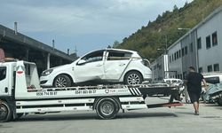 ARACA GİREN ARI KAZAYA YOL AÇTI