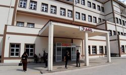 BOLU'DA AYI SALDIRISI: 1 YARALI