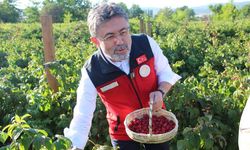 BAKAN YUMAKLI, "ÜRETİM GENÇLERLE HIZ KAZANIYOR"