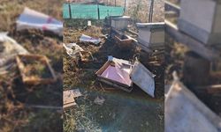 BULU'DA AYI ARI KOVANLARINI PARÇALADI