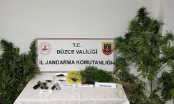 DÜZCE'DE UYUŞTURUCU OPERASYONU 1 TUTUKLAMA