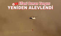 EFLANİ'DEKİ ORMAN YANGINI YENİDEN ALEVLENDİ