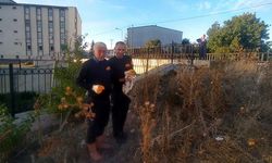 ÇAYA DÜŞEN ENGELLİ KEDİYİ İTFAİYE KURTULDU