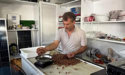 REKOLTE DÜŞÜKLÜĞÜ FINDIK FİYATLARINI YÜKSELTTİ