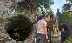 SU KUYUSUNA DÜŞEN İNEK İÇİN SEFERBER OLDULAR