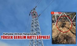 KAHYALARDAKİ ORMAN YANGININDA YÜKSEK GERİLİM HATTI ŞÜPHESİ