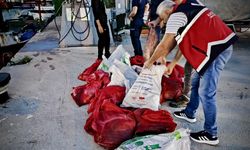 KAÇAK AVLANAN 142 KALKAN BALIĞINA EL KONULDU
