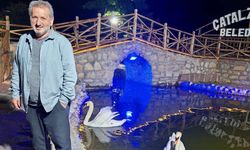 KASTAMONU'DA İNCİR AĞACINDAN DÜŞEN ŞAHIS HAYATINI KAYBETTİ