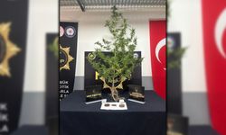 UYUŞTURUCU OPERASYONU: 1 TUTUKLAMA