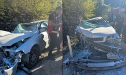 KONTROLDEN ÇIKAN OTOMOBİL DUVARA ÇARPTI
