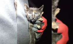 KOZLU'DA MAZGALA ŞIKIŞAN KEDİYİ İTFAİYE KURTARDI