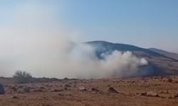 KURŞUNLU'DA ORMAN YANGINI KISA SÜREDE SÖNDÜRÜLDÜ