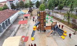 PARKLAR VE SPOR ALANLARI YENİLENMEYE DEVAM EDİYOR