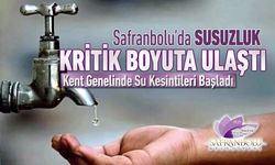SAFRANBOLU’DA SUSUZLUK KRİTİK BOYUTA ULAŞTI