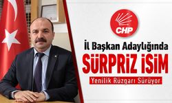 CHP’DE SÜRPRİZ İL BAŞKAN ADAYI