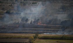 TOSYA'DA ÇELTİK TARLASINDA YANGIN ÇIKTI