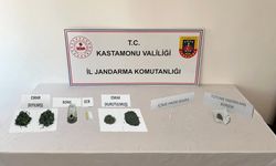 UYUŞTURUCU MADDE İLE YAKALANAN İKİ KÜŞÜ GÖZALTINA ALINDI