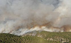 KASTAMONU VALİLİĞİ'NDEN YANGINLARLA İLGİLİ AÇIKLAMA