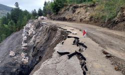 BOZKURT'TA HEYELAN SEBEBİYLE YOL ULAŞIMA KAPANDI