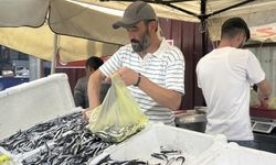 ZONGULDAK'TA HAMSİ BOLLUĞU YAŞANIYOR