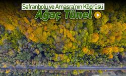 SAFRANBOLU VE AMASRA'NIN KÖPRÜSÜ: AĞAÇ TÜNEL