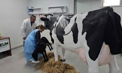 BEUN ÇAYCUMA'DA BİR İLKE İMZA ATTI
