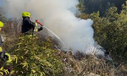 BOLU'DA ORMANLIK ALANDA ÇIKAN YANGIN BÜYÜMEDEN SÖNDÜRÜLDÜ