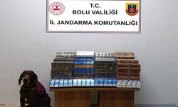 BOLU'DA YOLCU OTOBÜSÜNDE 650 PAKET KAÇAK SİGARA YAKALANDI