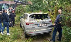 ÇAYCUMA'DA PARK HALİNDEKİ OTOMOBİLİN ÜZERİNE AĞAÇ DEVRİLDİ