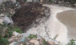 DEREDE MAHSUR KALAN HAYVANLAR 2 BIÇIK SAAT SONRA KURTARILDI