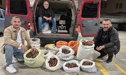 DÜZCE'DE KUZU KESTANESİ TEZGAHTA YERİNİ ALDI
