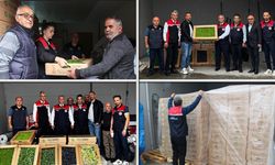 ÜRETİCİLERE YÜZDE 75 HİBE DESTEKLİ FİDE DESTEĞİ