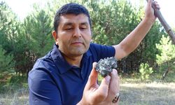 MANTAR ARARKEN GÖKTAŞI BULDU