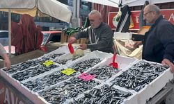 ZONGULDAK'TA HAMSİNİN FİYATI 70 TL'YE İNDİ
