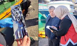 EREĞLİ'DE 153 TEKNEYE E-SEYİR ONAYI VERİLDİ