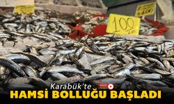 KARABÜK'TE HAMSİ BOLLUĞU BAŞLADI