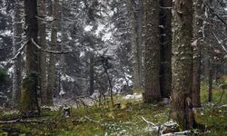 ILGAZ DAĞI'NDA KAR YAĞIŞI ETKİLİ OLMAYA DEVAM EDİYOR