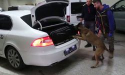 BOLU'DA KAÇAKÇILIK OPERASYONU: 6 GÖZALTI