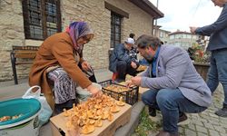 KANLICA KİLOSU 500 TL'DEN TEZGAHLARDA YERİNİ ALDI
