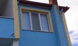 BARTIN'DA KOKARCA İSTİLASI