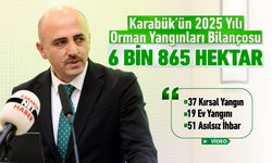 KARABÜK'ÜN 2025 YILI ORMAN  YANGINI BİLANÇOSU: 6 BİN 865 HEKTAR