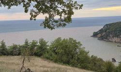 KARADENİZ TURUNCU RENGE DÖNDÜ PLAJLAR TIBBI ATIKLA TEHLİKE SAÇIYOR