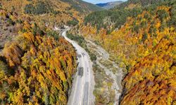 KASTAMONU ORMANLARINDA SONBAHAR MANZARASI