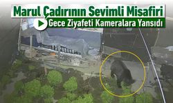 MARUL PEŞİNDEKİ TATLI KAÇAK KAMERALARA YANSIDI