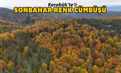 KARABÜK'TE SONBAHAR RENK CÜMBÜŞÜ